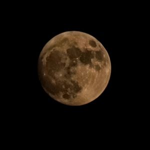 Meet your Posher, Triz